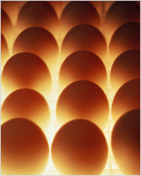 Проколіть яйця голкою з тупим боку, покладіть в каструльку і залийте солоною водою так, щоб вода закривала яйця